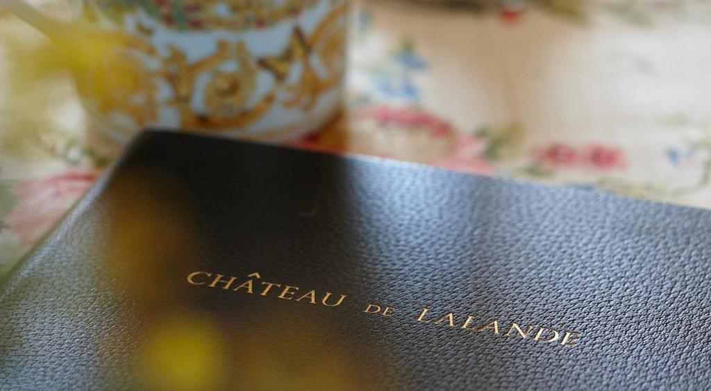 Chateau De La Lande Crozon-sur-Vauvre ภายนอก รูปภาพ